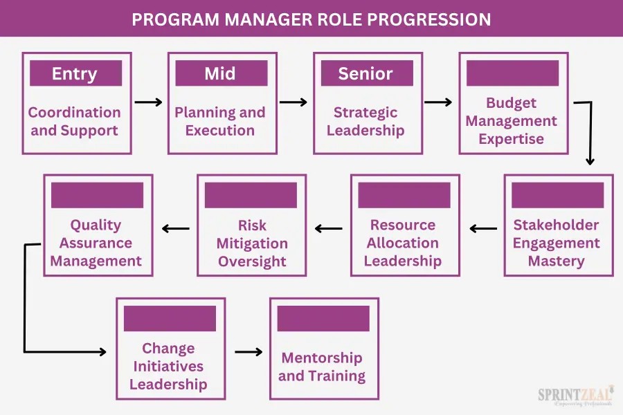 Entry level program manager responsibilities include managing project activities and documentation.