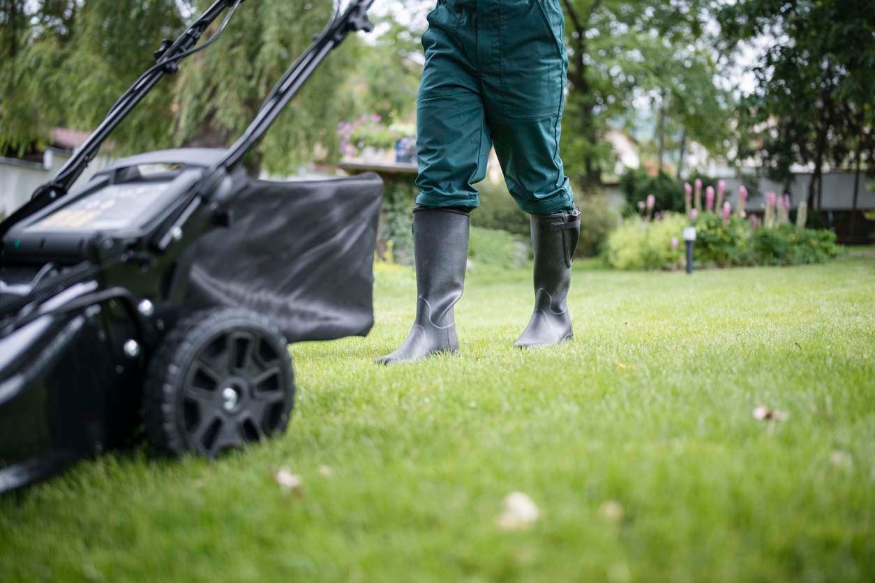 A person applying Sunday Lawn Care product to their lawn.