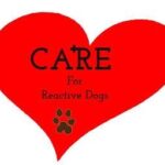 CARE graphic